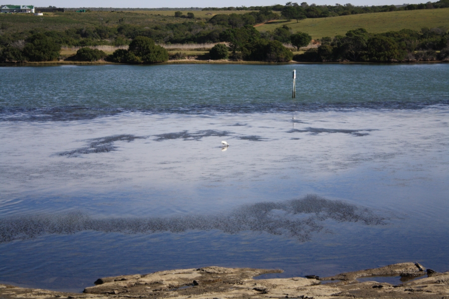 0 Bedroom Property for Sale in Kromme River Estate Eastern Cape
